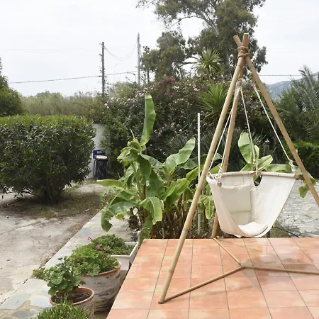 τhe Banana Tree House